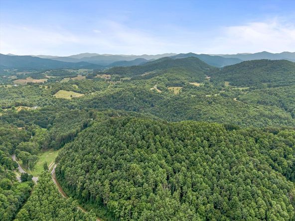 Majors Estate: 1610 Perth Rd, Clyde, NC 28721